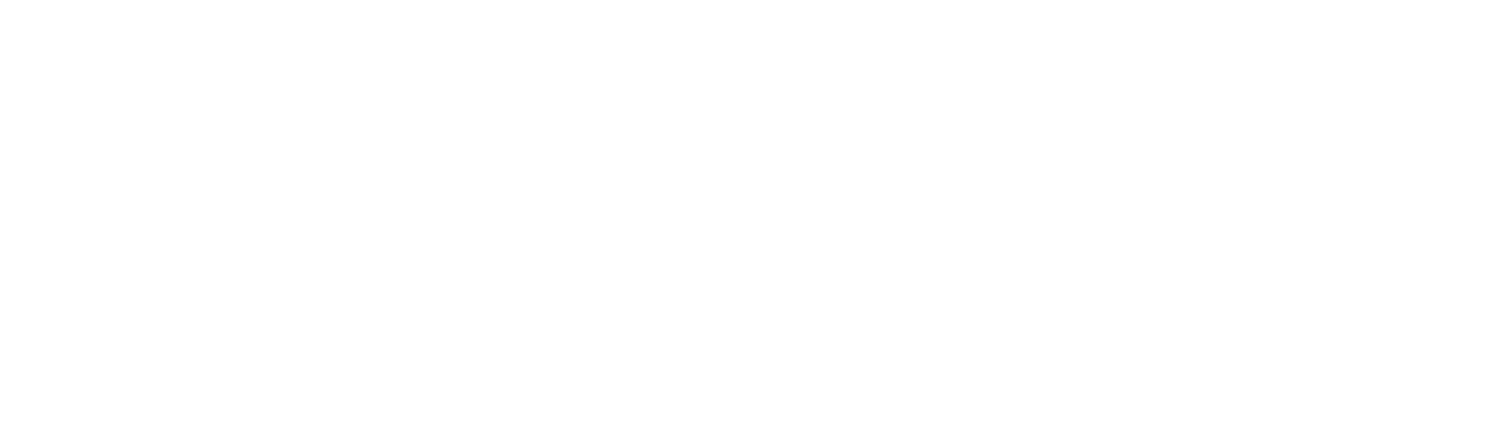 Logo horizontal DOT blanc